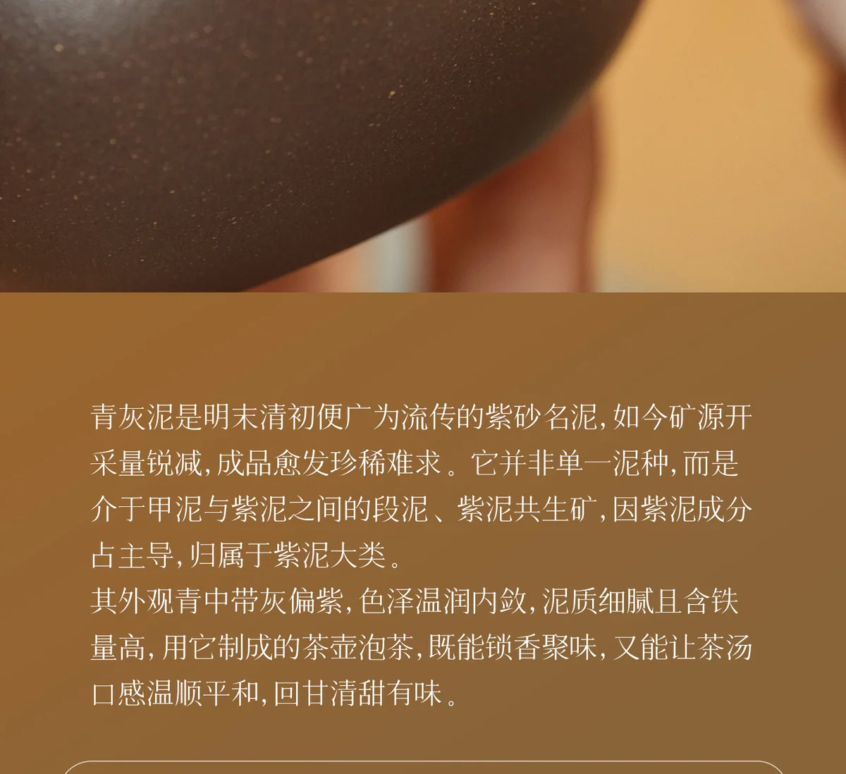 宜兴正品茶具纯手工茶壶泡茶家用新款紫砂壶送长辈领导新年生日礼 详情图 2