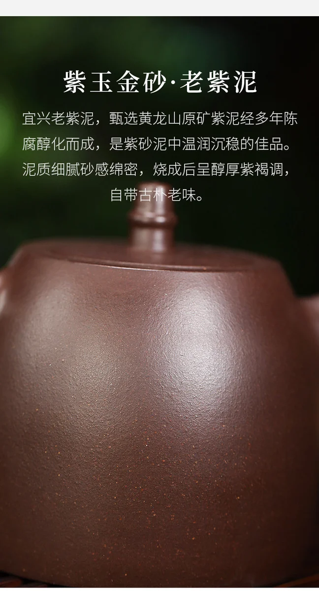 藏壶天下宜兴紫砂壶纯手工家用紫砂茶具老紫泥小容量泡茶壶汉铎壶 详情图 12