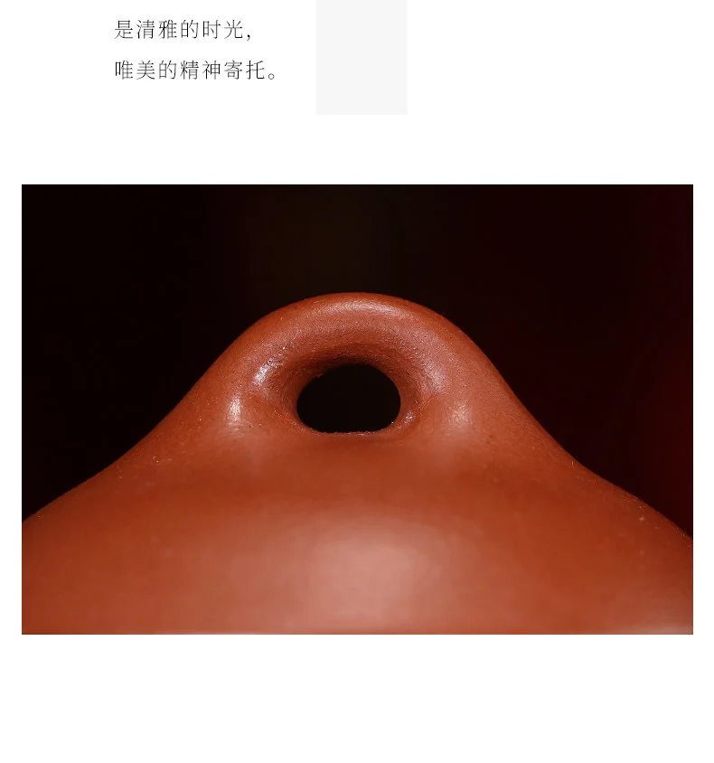宜兴紫砂壶手工茶壶泡茶家用刻生肖马紫砂茶具单壶橘黄朱泥秦权壶 详情图 19