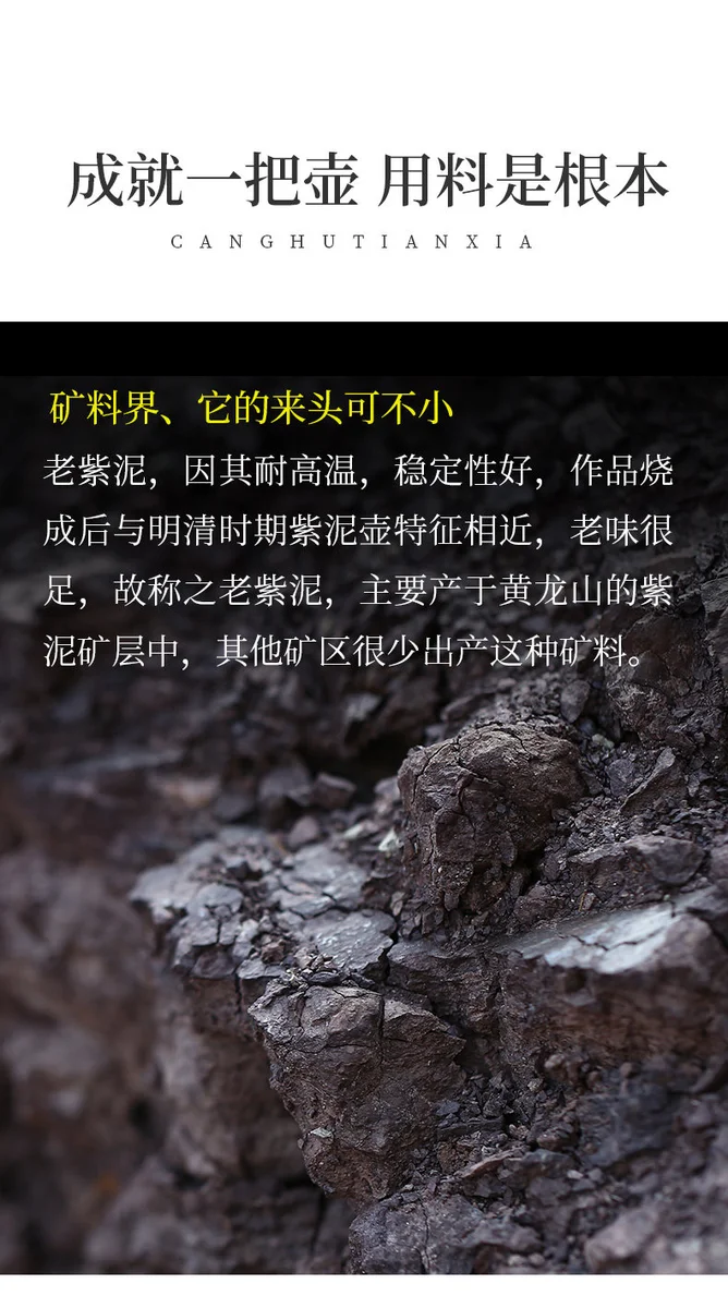 宜兴紫砂壶纯手工刻绘功夫茶具原矿家藏老紫泥家用泡茶壶东坡石瓢 详情图 5