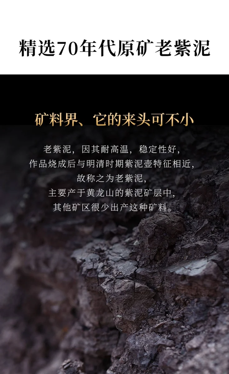 藏壶天下宜兴名家紫砂壶纯手工茶壶单壶紫砂茶具原矿老紫泥石瓢壶 详情图 10