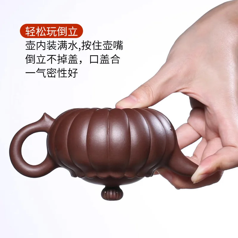原矿朱泥宜兴名家纯手工筋纹紫砂壶小茶壶单人功夫茶具家用泡茶壶 - 5