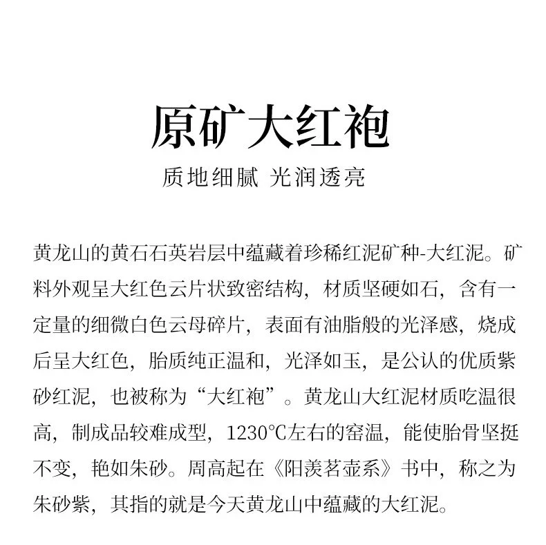 宜兴紫砂壶纯手工功夫茶具一人用单壶原矿大红袍小容量泡茶壶龙蛋 详情图 8