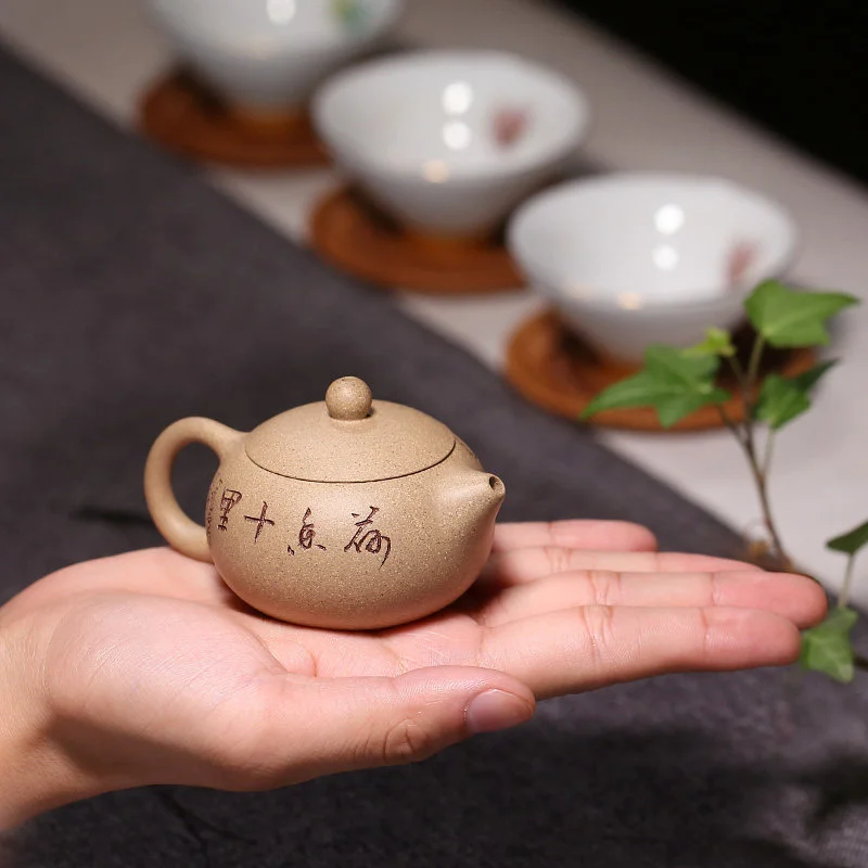 宜兴紫砂壶纯手工功夫茶具办公家用小茶壶一人用小容量段泥西施壶 - 5