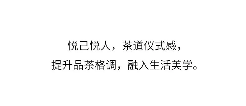宜兴紫砂壶纯手工家用泡茶壶套装茶具原矿紫泥复刻景舟仿古240ml 详情图 21