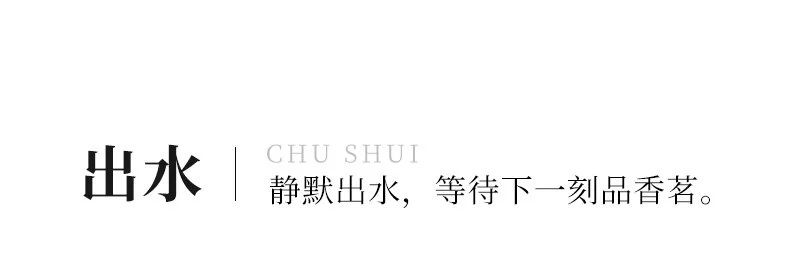 宜兴紫砂壶纯手工小容量家用泡茶壶原矿梨皮大红袍功夫茶具水平壶 详情图 18