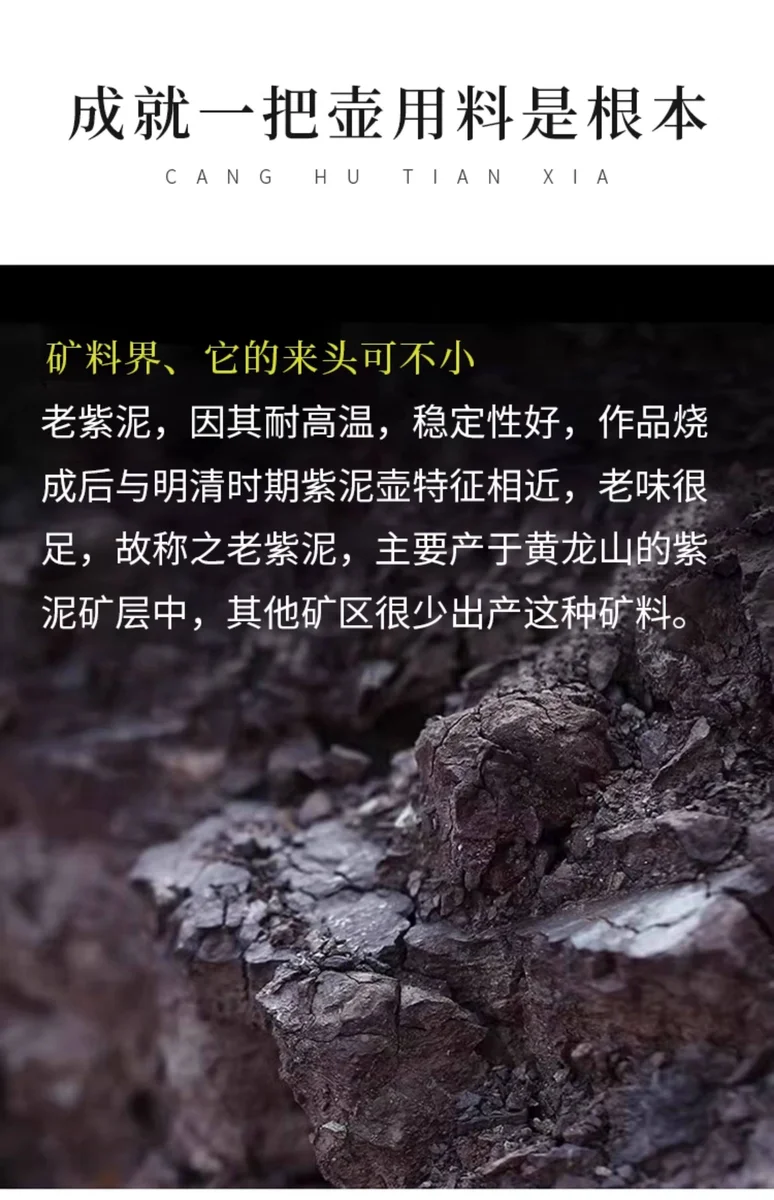 藏壶天下宜兴紫砂壶纯手工老紫泥泡茶壶家用功夫茶具单壶一帆风顺 详情图 10