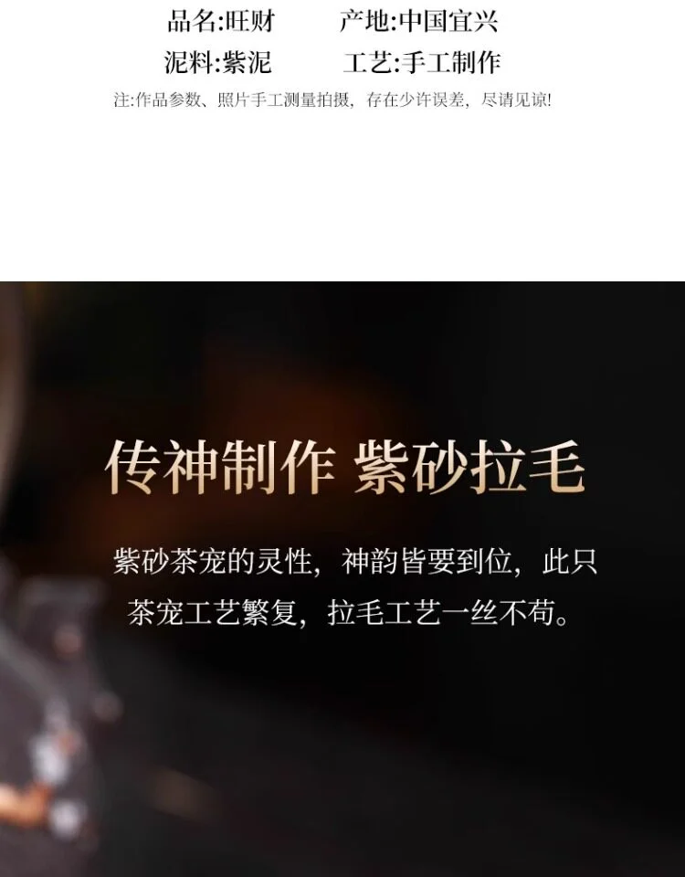 46.2 详情图 6