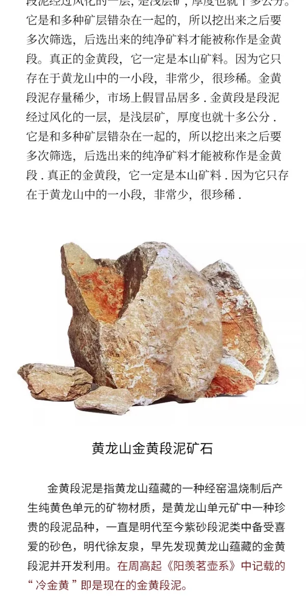紫砂壶纯全手工宜兴名家刻绘单壶泡茶壶国工朱倩冰金黄段泥汉铎 详情图 4