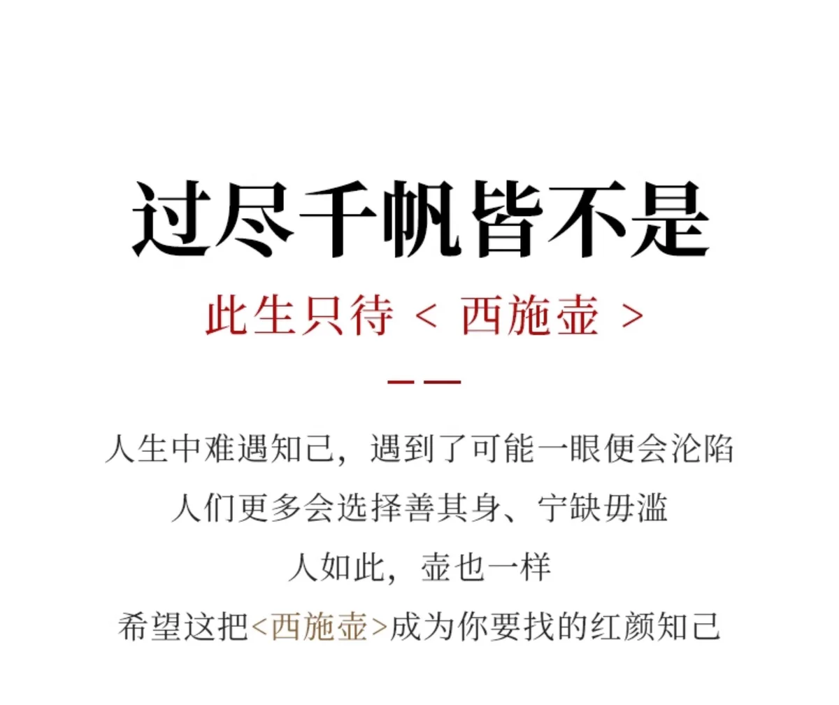 藏壶天下宜兴紫砂壶茶具纯手工紫砂茶壶原矿大红袍全手工西施壶 详情图 2