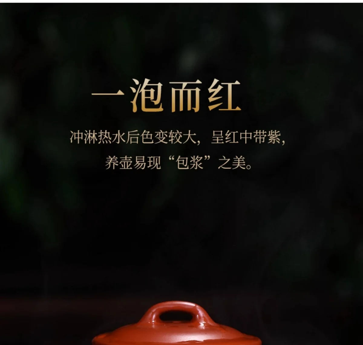 紫砂壶宜兴全手工国高工纯手工刻绘大红袍270cc单壶泡茶壶具影瓢 详情图 12