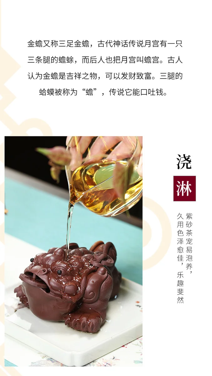招财金蟾茶桌小摆件紫砂茶宠精品可养茶台装饰品茶具配件摆设茶玩 详情图 10