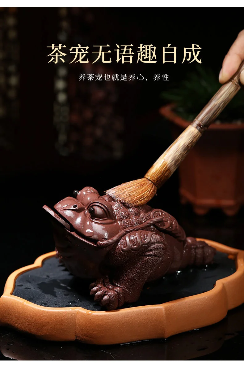 招财金蟾茶桌小摆件紫砂茶宠精品可养茶台装饰品茶具配件摆设茶玩 详情图 20