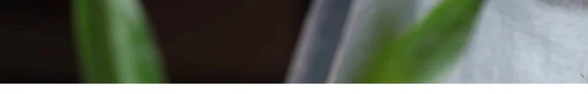 紫砂功夫茶杯个人专用主人杯单杯小茶杯茶盏紫砂杯单个茶碗品茗杯 详情图 11